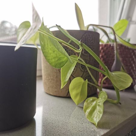 Apartment Maigloeckchen Fritzlar Kültér fotó