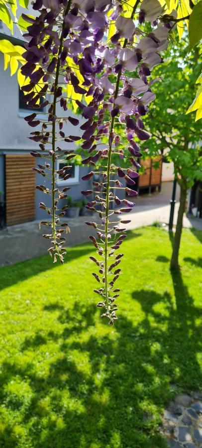 Apartment Maigloeckchen Fritzlar Kültér fotó